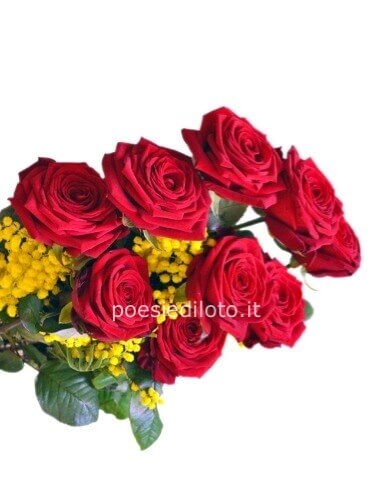 10 ROSE ROSSE CON MIMOSA