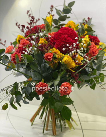 fiori colorati