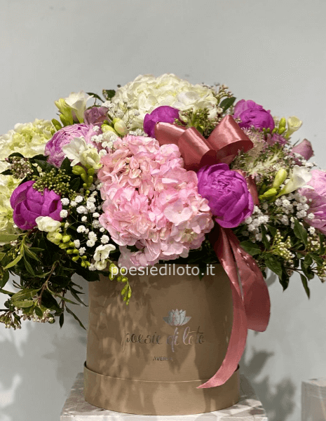 BOX PINK SHADES