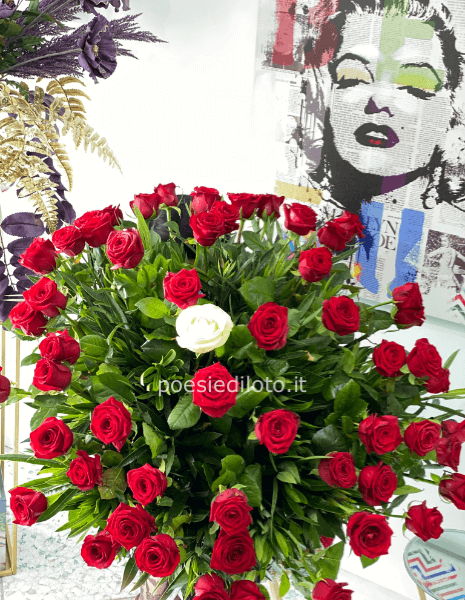 51 ROSE ROSSE A STELO LUNGO