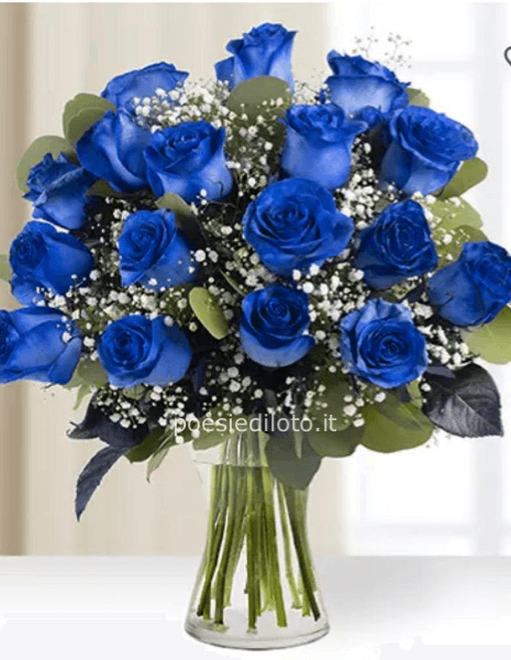 17 rose blu