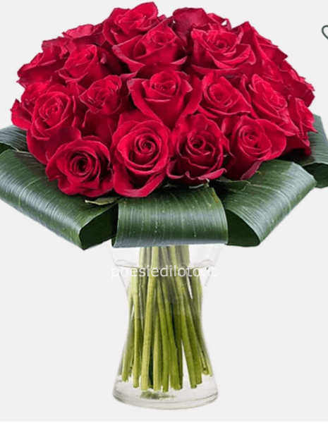 Dipendenza d´Amore: 25 Rose Rosse