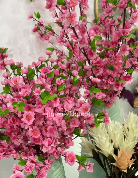 FIORI DI PESCO
