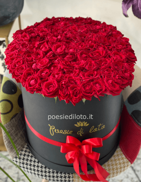 BIG BIG ROSE ROSSE