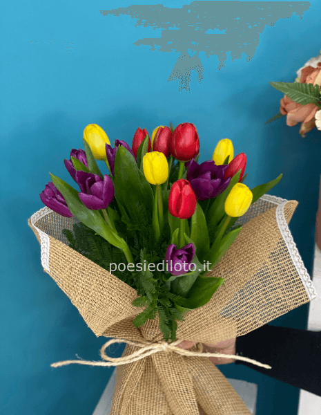 BOUQUET tulipani 