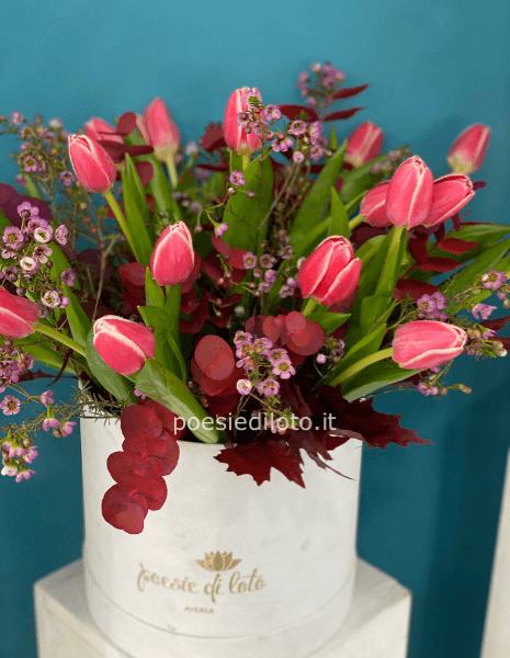 box white tulips big