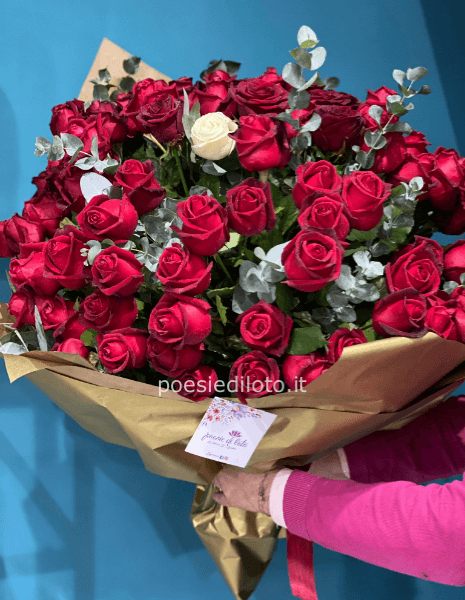 rose red