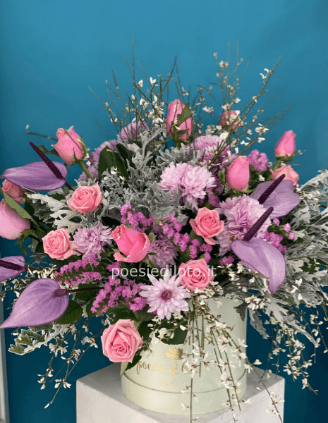 box big pink ledy