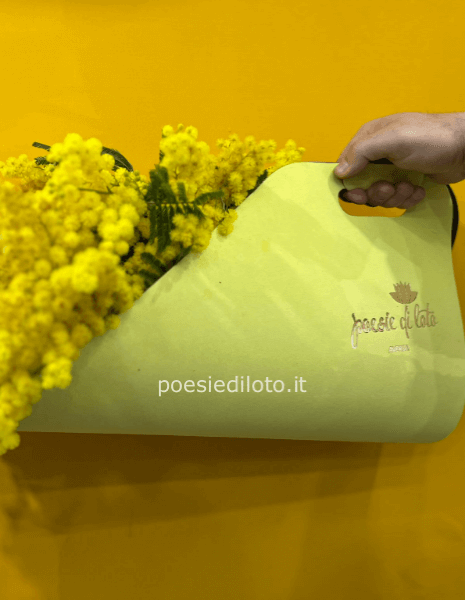 borsa a mano in veluto con mimmosa